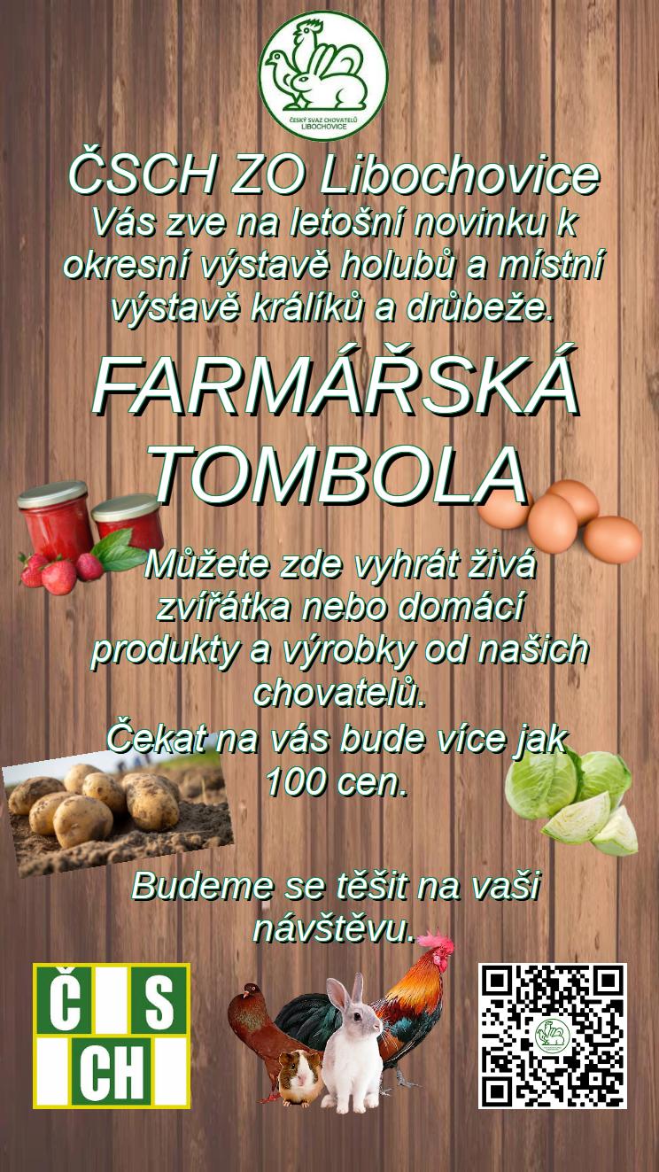 Výstava Libochovice - plakát 1