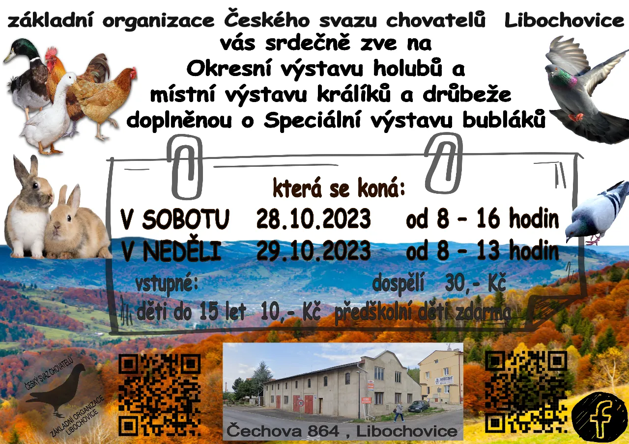 v_rij.webp