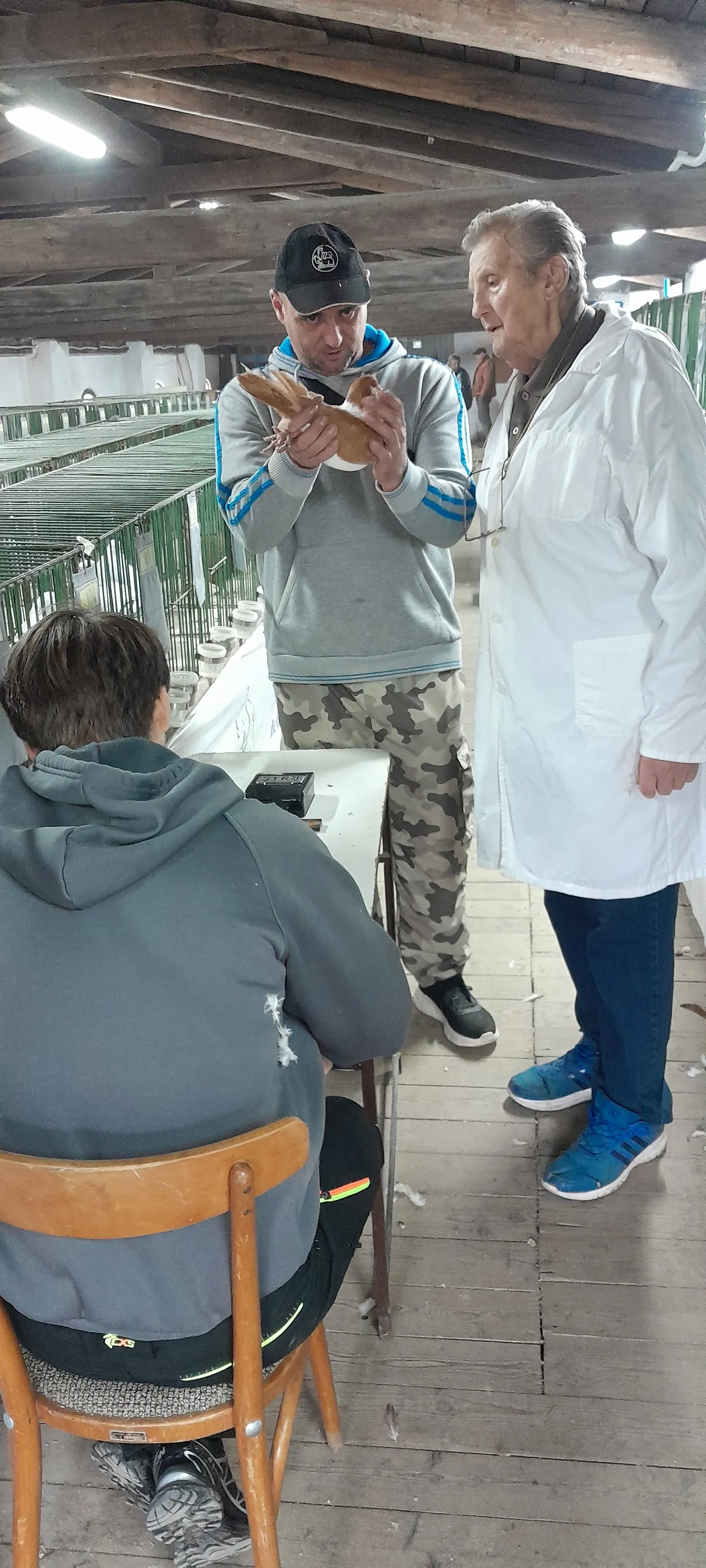 foto_6a4a42a52ee95.webp